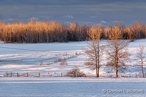 Winter Fields At Sunrise_21496.jpg - Photographed at Rosedale, Ontario, Canada.